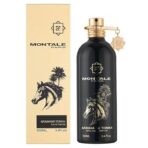 Montale Arabians Tonka